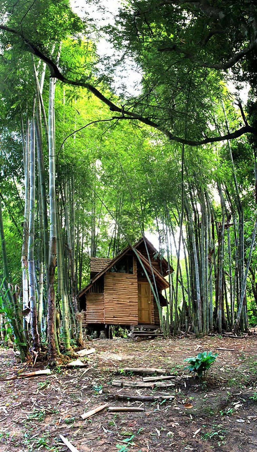 Rabeang Pasak Treehouse Resort Chiang Mai Esterno foto