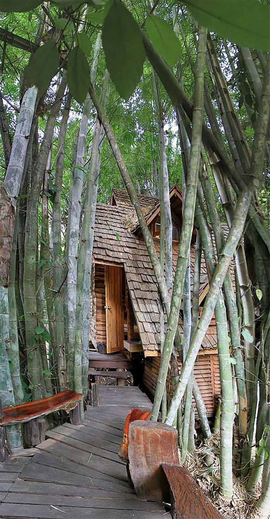 Rabeang Pasak Treehouse Resort Chiang Mai Esterno foto